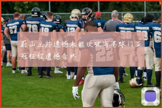 蔚山主帅遗憾未能攻破海港球门亚冠征程遗憾告终